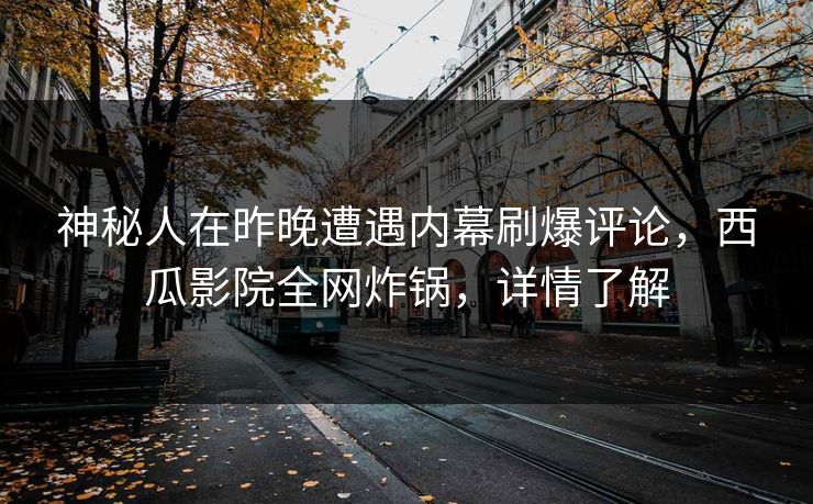 神秘人在昨晚遭遇内幕刷爆评论，西瓜影院全网炸锅，详情了解