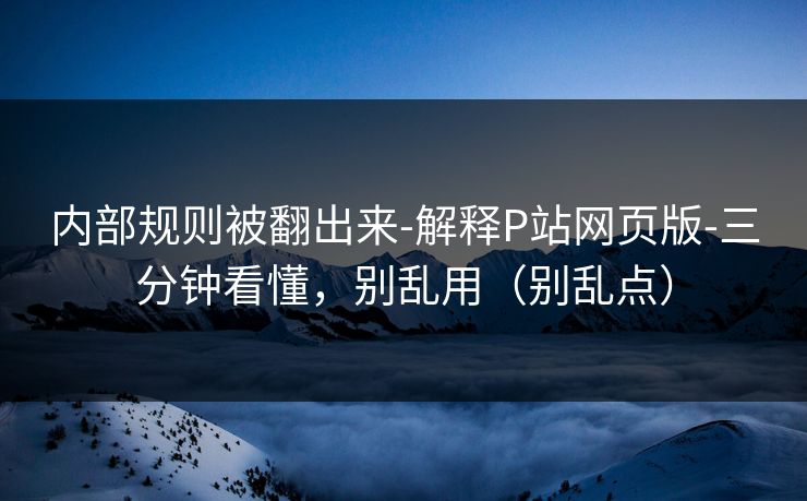 内部规则被翻出来-解释P站网页版-三分钟看懂，别乱用（别乱点）