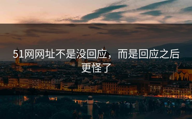 51网网址不是没回应，而是回应之后更怪了